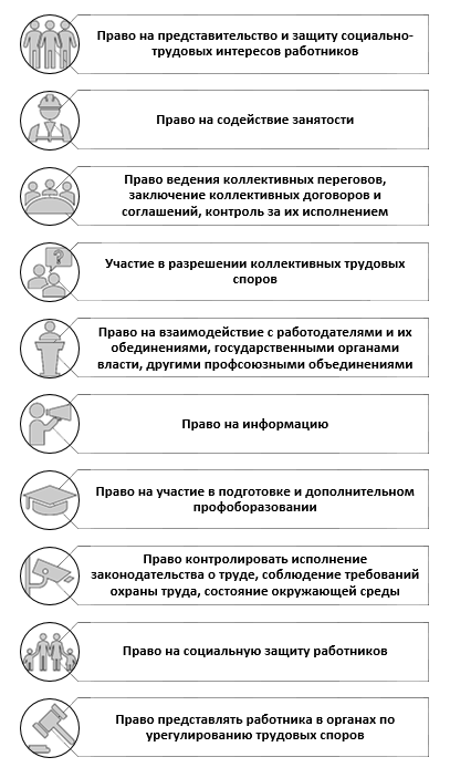 Профессиональные союзы: права, гарантии и законы в России