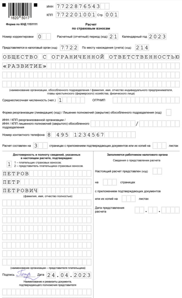 Нулевой РСВ в 2023 году: образец заполнения