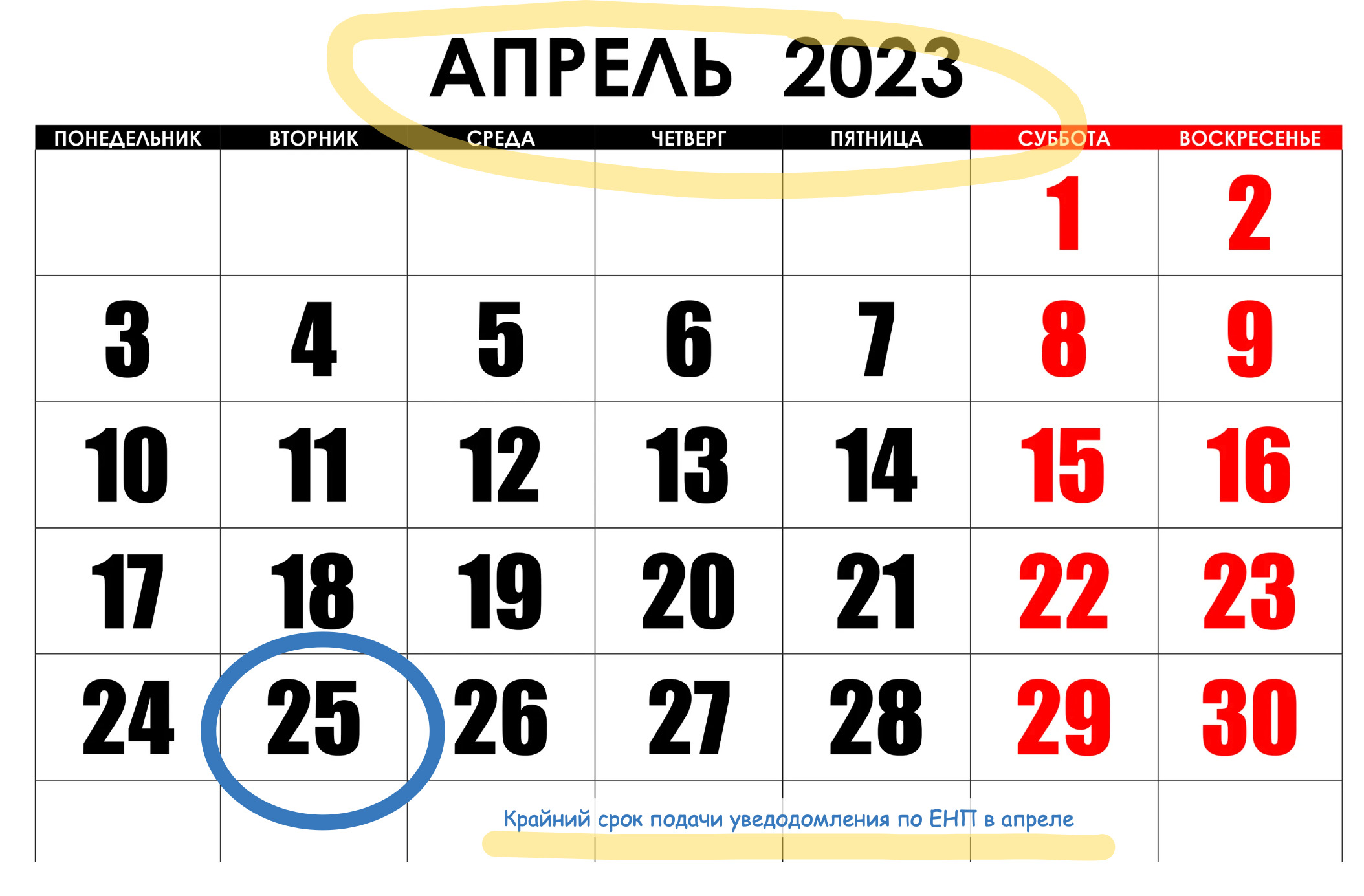 Срок подачи уведомления в феврале 2024. Сроки подачи уведомлений ЕНП. Уведомление ЕНП по срокам. Сроки подачи уведомления по ЕНП В 2024 году таблица.