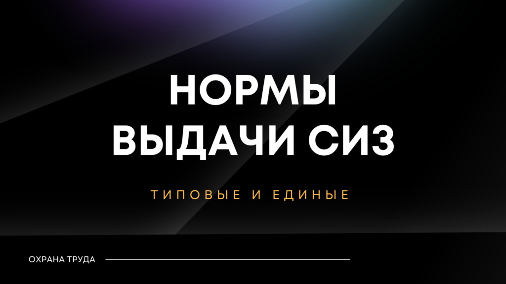 Нормы выдачи СИЗ в 2024 году